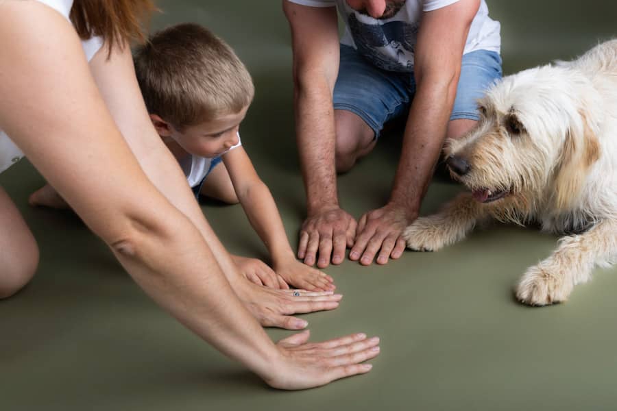 Réserver une séance photo avec son chien ou son animal de compagnie, ma famille au complet ou rien ! - photographe pour plusieurs générations
